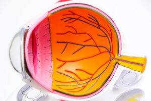 Is My Detached Retina Really Transferred Genetically? featured image