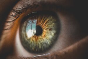What is Vitreous Gel in the Eye? featured image
