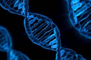 Gene Therapy for Inherited Retinal Disease: Is It the Future? featured image