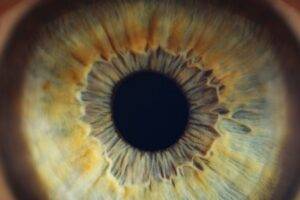 Pneumatic Retinopexy: A Less Invasive Option for Retinal Detachment featured image